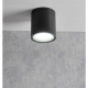 Obrázok pre Stropné bodové prisadené svietidlo VALSEA 1xGU10 valcové IP44 (čierna pieskovaná)