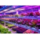 Obrázok pre LED GROW LED žiarovka pre rastliny E27 9W/300lm